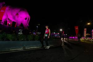 BIB: 
                            <button type="button" onclick="openModal(26552659)" class="btn btn-primary btn-sm float-right btn-popup" data-toggle="modal" data-target=".modal-high-quality">
                        <i class="fas fa-shopping-cart"></i> Add to Cart
                    </button>
                                            <button type="button" onclick="isThisMe(26552659, true)" class="btn btn-success btn-sm float-right btn-popup btn-isme hidden" data-toggle="tooltip" data-placement="bottom" title="นี่คือรูปของคุณใช่ไหม คลิกที่นี่เพื่อเอาเข้าอัลบั้ม">
                        <i class="fas fa-plus"></i> Add to album
                    </button>
                    <button type="button" onclick="isThisMe(26552659, false)" class="btn btn-warning btn-sm float-right btn-popup btn-isnotme hidden">
                        <i class="fas fa-ban"></i> Remove from album
                    </button>